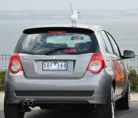 Name:  holden barina  - GT twin muffler.JPG
Views: 391
Size:  42.0 KB